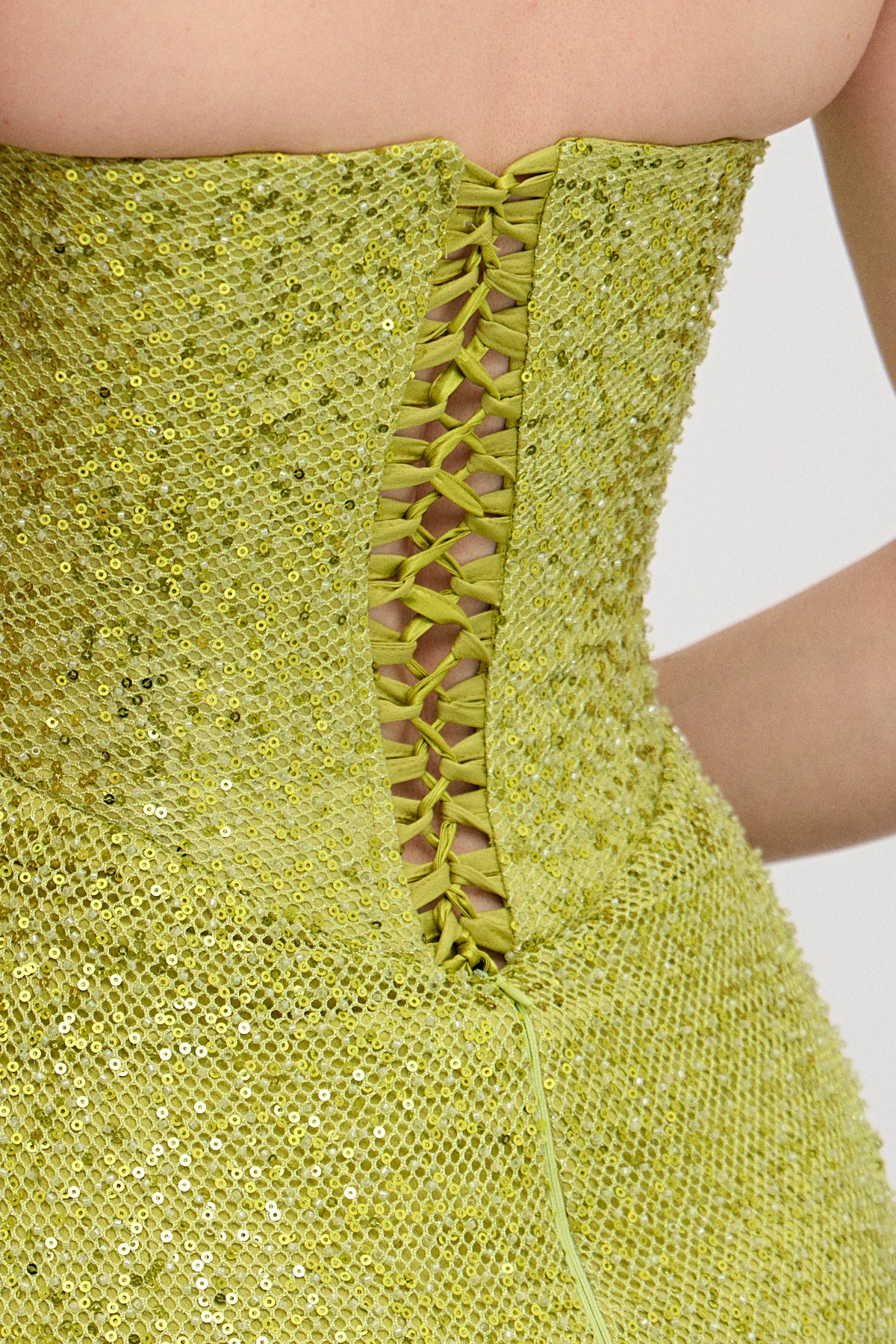 Alexia Pistacchio Drapeli Uzun Elbise